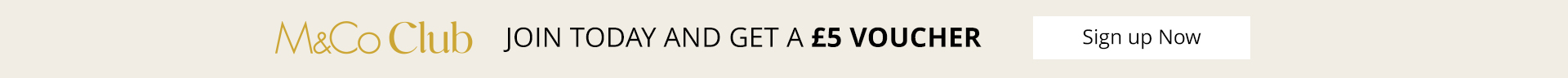placeholder text